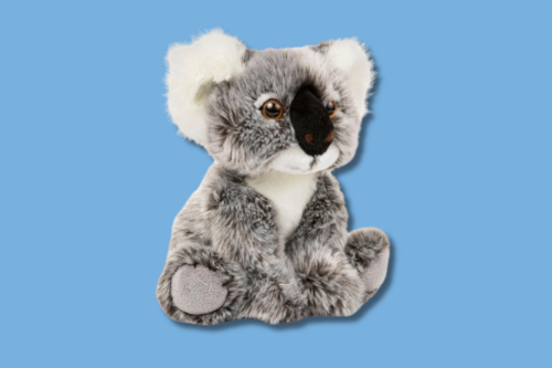 Teddy Bear Tuesday- Center for Child Protection