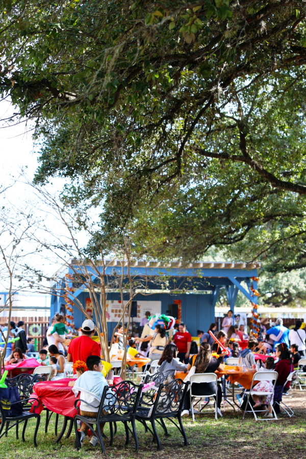 center for child protection family resource festival