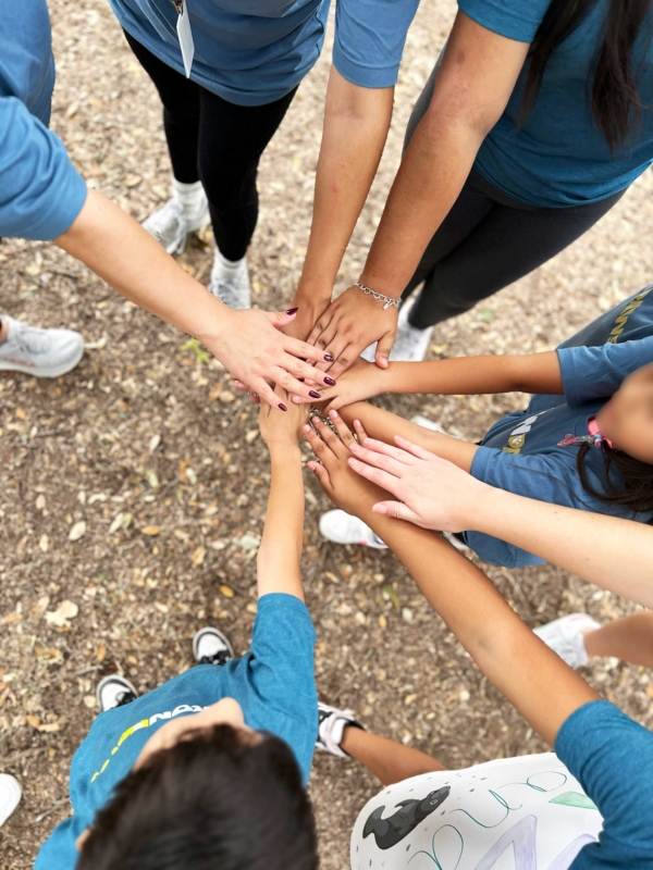 Rebuilding Trust and Hope Through IronPaws