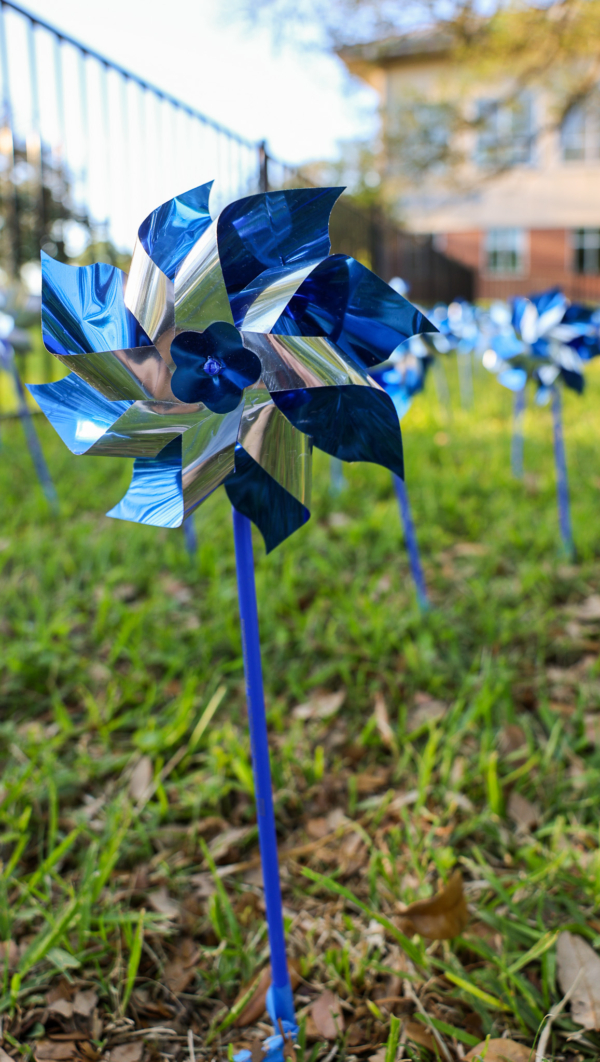 Pinwheel for Child Abuse Prevention Month at the Center for Child Protection