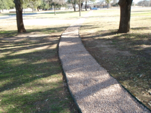 Paving the Way for Brighter Futures