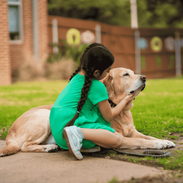 center for child protection facility dog program