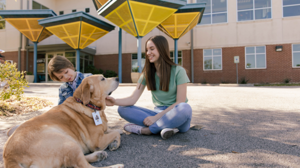 teen petting mickler the facility dog healing tails facility dog program center for child protection